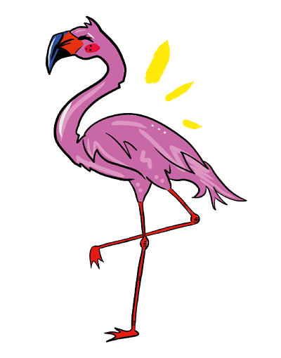 flamingo flamingo